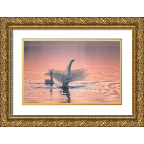 Dancing For You Gold Ornate Wood Framed Art Print with Double Matting by Ning, Aidong