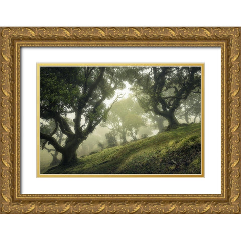Enchanted Forest Gold Ornate Wood Framed Art Print with Double Matting by Van Der, Frans