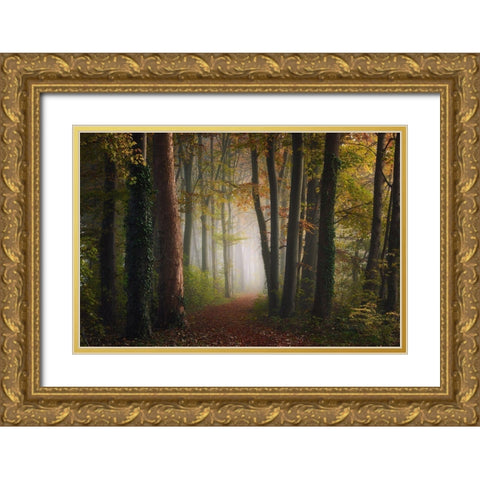 Autumn Colorful Forest Gold Ornate Wood Framed Art Print with Double Matting by Ye
