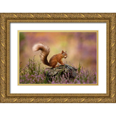 On Watch Gold Ornate Wood Framed Art Print with Double Matting by O Mahony, Kieran