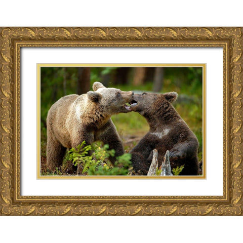 Mouth-To-Mouth Gold Ornate Wood Framed Art Print with Double Matting by Merino, Nicolas