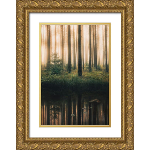 Reflection In The Foggy Forest Gold Ornate Wood Framed Art Print with Double Matting by Lindsten, Christian