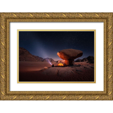 Mashroom Rock Gold Ornate Wood Framed Art Print with Double Matting by Nienartowicz, Karol