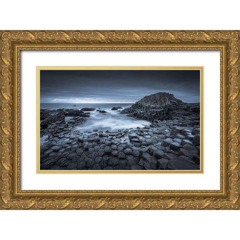 Where Giants Roam Gold Ornate Wood Framed Art Print with Double Matting by Ahern, David