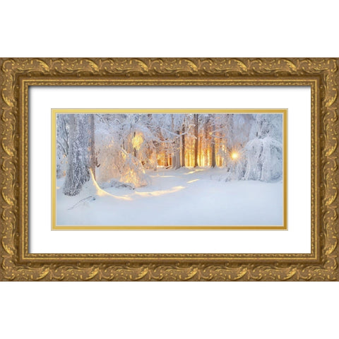 Bright Spots Gold Ornate Wood Framed Art Print with Double Matting by Jochen, Burger