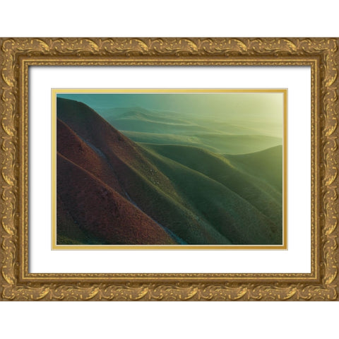 Natural Grassland Gold Ornate Wood Framed Art Print with Double Matting by Simoon