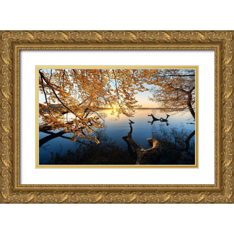 Autumn Morning Gold Ornate Wood Framed Art Print with Double Matting by Keller