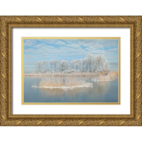 Winter Gold Ornate Wood Framed Art Print with Double Matting by Haaksma, Piet