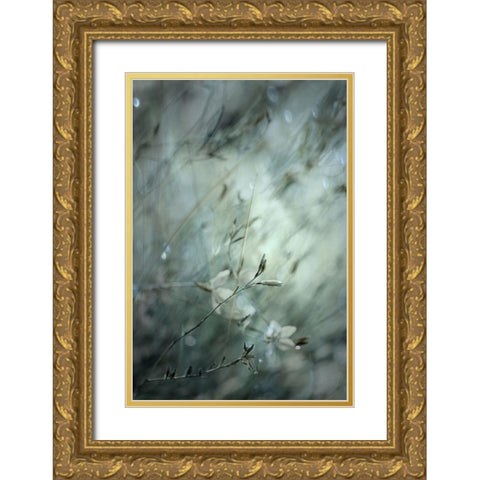 Subtlety Gold Ornate Wood Framed Art Print with Double Matting by Devos, Delphine