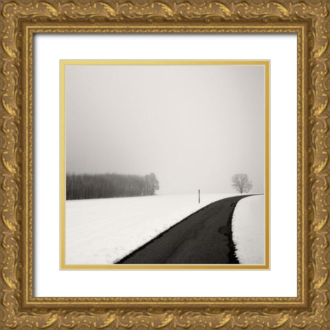 Curve In Snow Gold Ornate Wood Framed Art Print with Double Matting by Weisbek, Lena