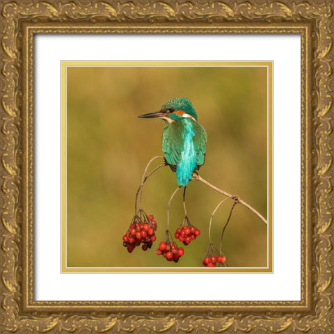 An Unusual Place Gold Ornate Wood Framed Art Print with Double Matting by Keizer, Annie