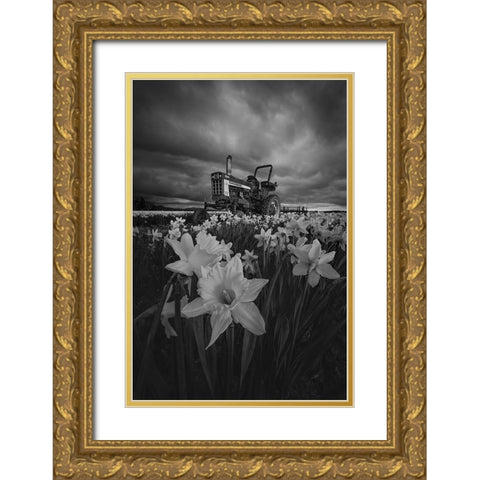 Tractor In Daffodils Gold Ornate Wood Framed Art Print with Double Matting by Jacobs, Lydia