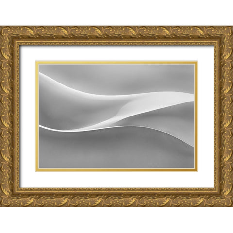 Restless Gold Ornate Wood Framed Art Print with Double Matting by Asghar Alimoradi, Ali