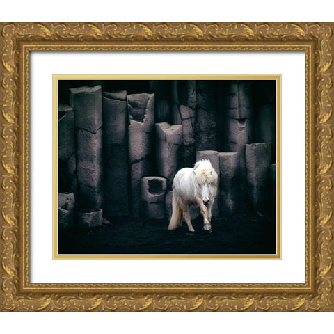 Icelandic Horse Gold Ornate Wood Framed Art Print with Double Matting by Kort, Bragi