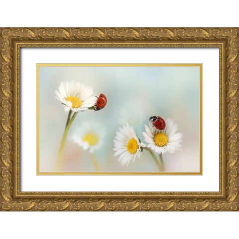 Springtime.... Gold Ornate Wood Framed Art Print with Double Matting by Van Deelen, Ellen