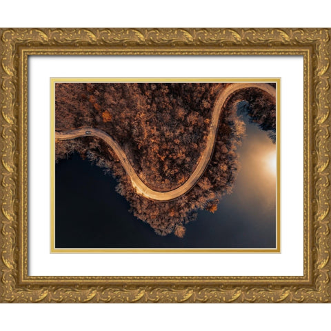 Winding Roads Gold Ornate Wood Framed Art Print with Double Matting by Chiriaco, Carmine