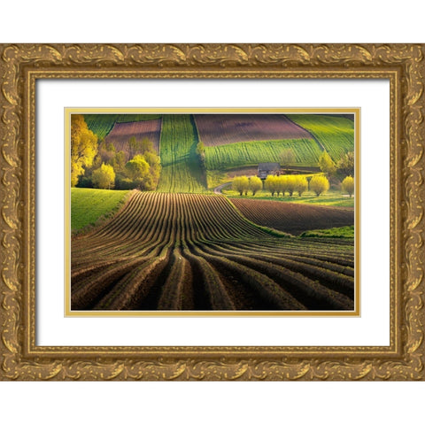 Shape Gold Ornate Wood Framed Art Print with Double Matting by Nienartowicz, Karol