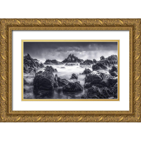 Rock Gold Ornate Wood Framed Art Print with Double Matting by Seo, Tiger