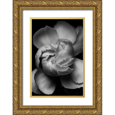 White Flower Gold Ornate Wood Framed Art Print with Double Matting by Ross, Francisco