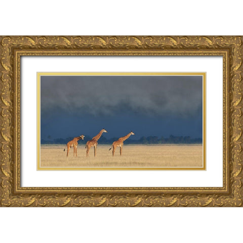 Raining And Sunset Gold Ornate Wood Framed Art Print with Double Matting by Wang, Yun
