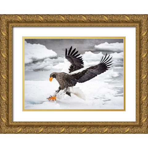 Still Want To Run? Gold Ornate Wood Framed Art Print with Double Matting by Wong, Fion