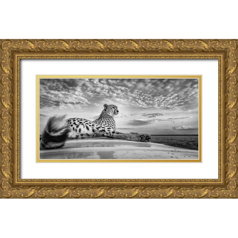 Scanning The Savanna Gold Ornate Wood Framed Art Print with Double Matting by C. Sink, Jeffrey