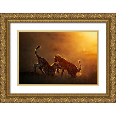 Playing At Sunrise Gold Ornate Wood Framed Art Print with Double Matting by Vigo, Mario