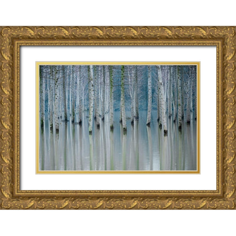Enchanted Forest Gold Ornate Wood Framed Art Print with Double Matting by Butnaru, Ralu