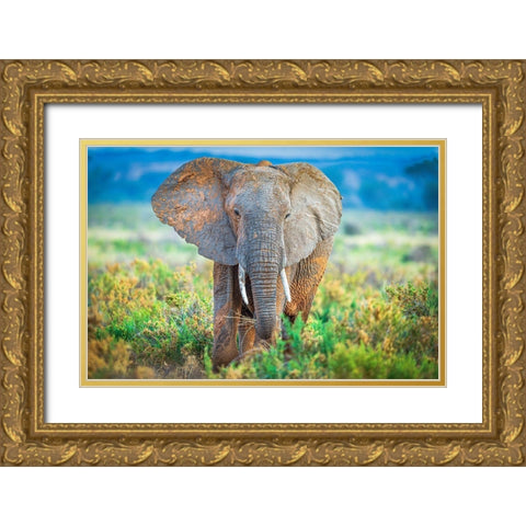 Pastel Elephant Gold Ornate Wood Framed Art Print with Double Matting by C. Sink, Jeffrey