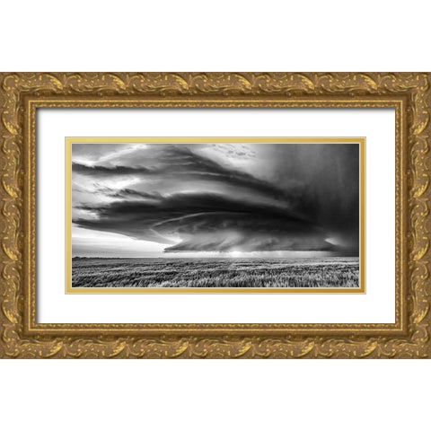 Kansas Gold Ornate Wood Framed Art Print with Double Matting by Darby, Rob