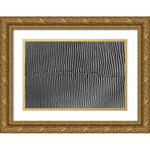Untitled Gold Ornate Wood Framed Art Print with Double Matting by Momeni, Mohammadreza