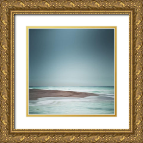 Coast Gold Ornate Wood Framed Art Print with Double Matting by Wasinger, Renate