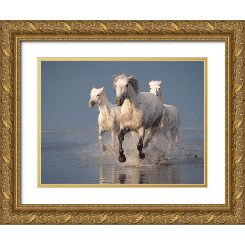 Camargue Horses On Sunset Gold Ornate Wood Framed Art Print with Double Matting by Anton, Rostovskiy