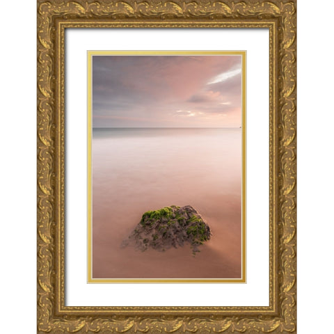 Untitled Gold Ornate Wood Framed Art Print with Double Matting by Relloso Nunez, Hector