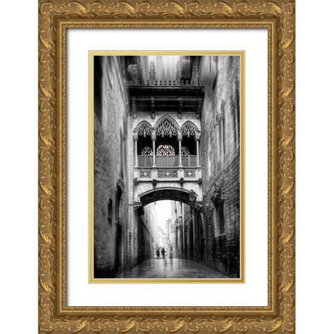 Bishopaas Bridge (Barcelona Series) Gold Ornate Wood Framed Art Print with Double Matting by Punyet Miro, Carles