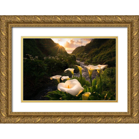 Calla Lily World Gold Ornate Wood Framed Art Print with Double Matting by Macua, Gerald