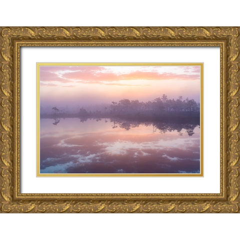 Pink Morning Gold Ornate Wood Framed Art Print with Double Matting by Zilbalodis, Eriks