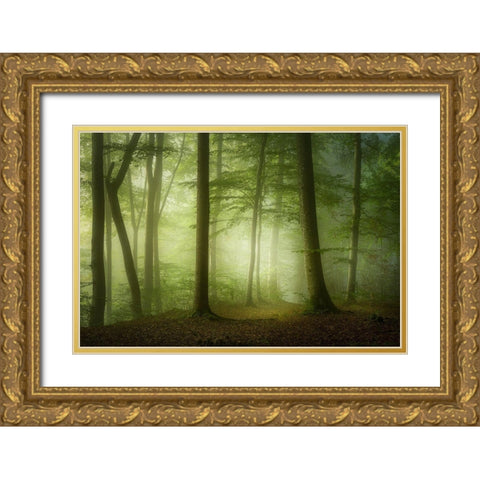 Mysterious Spring Morning Gold Ornate Wood Framed Art Print with Double Matting by Maier, Norbert