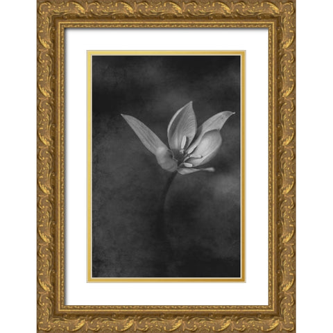 The Crocus Gold Ornate Wood Framed Art Print with Double Matting by Kiral, Cicek