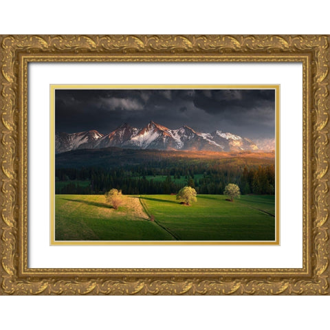 After Storm Gold Ornate Wood Framed Art Print with Double Matting by Nienartowicz, Karol