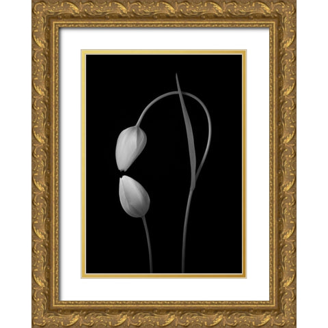 Flowers Love Gold Ornate Wood Framed Art Print with Double Matting by Xu, Tony