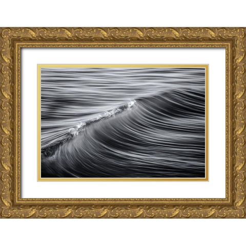 Liquid Gold Ornate Wood Framed Art Print with Double Matting by Palmerini, Fabio