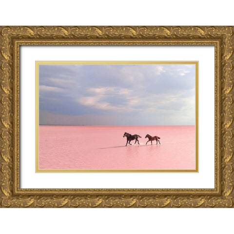 Pink Salt Lake Gold Ornate Wood Framed Art Print with Double Matting by Uzumcu, Suleyman