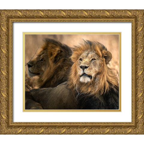 Waiting Gold Ornate Wood Framed Art Print with Double Matting by Tsui, Hung