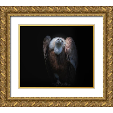 observant Gold Ornate Wood Framed Art Print with Double Matting by Kamera