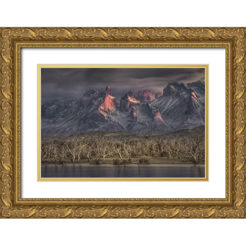 Below The Peaks Of Patagonia Gold Ornate Wood Framed Art Print with Double Matting by Svoboda Mqep, Peter