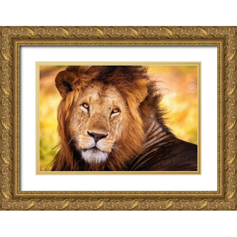 King Doa Gold Ornate Wood Framed Art Print with Double Matting by Alnaser, Mohammed