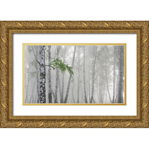 Non-Flying Weather Gold Ornate Wood Framed Art Print with Double Matting by Romanchuk, Sergey