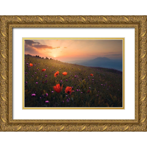 Rudbar Heights In Spring Gold Ornate Wood Framed Art Print with Double Matting by Behzad, Majid