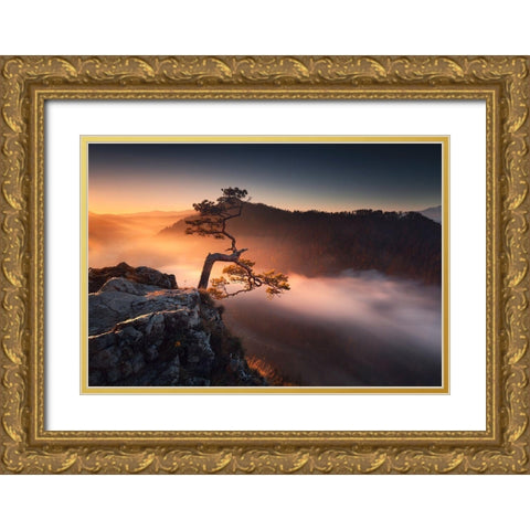 Sokolica Gold Ornate Wood Framed Art Print with Double Matting by Nienartowicz, Karol